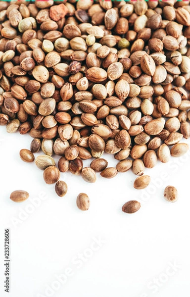 Obraz Cannabis seeds isolated on white background. Marijuana grains, herbal treatment product macro view.