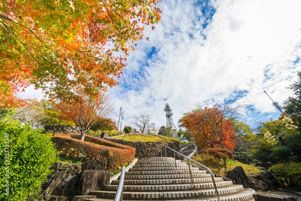 Obraz 紅葉　眉山公園(徳島県徳島市)