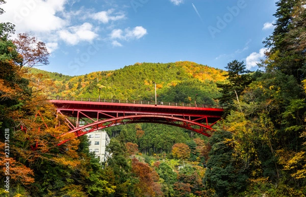 Obraz red bridge over the river