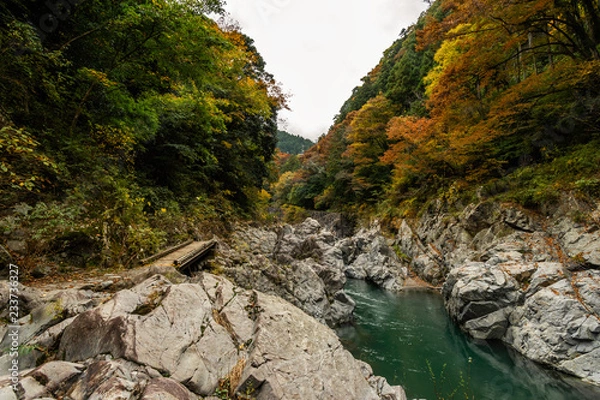 Obraz river in the mountains
