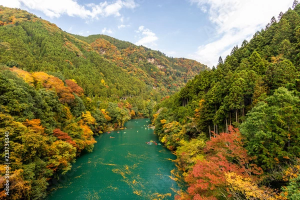 Obraz river in the mountains