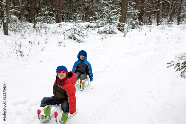 Obraz two boys in a sledge