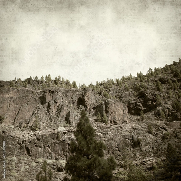 Fototapeta textured old paper background