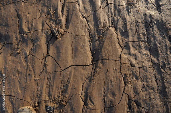 Obraz tierrra, arido, barro, lodo, textura, agrietado, viejo, paisaje, formas, lineas, desierto, con textura. fondos, 