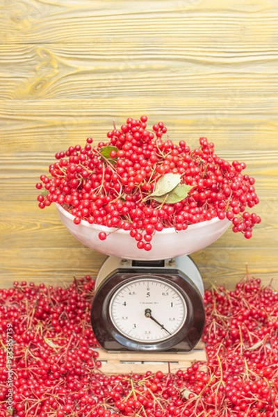 Obraz Ягоды калины взвешивают на весах.