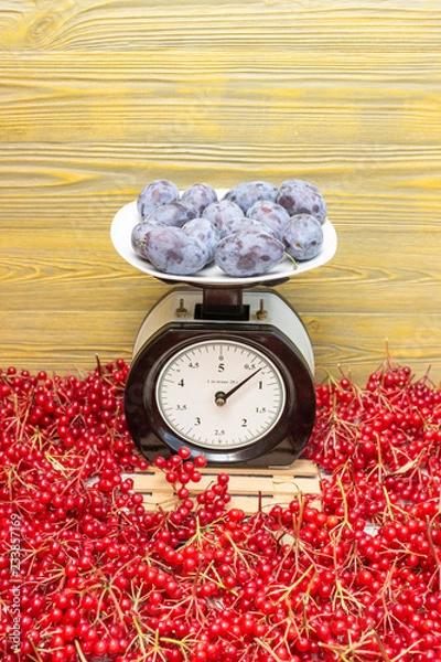 Obraz Сливы взвешены на весах, на фоне ягод красной калины.
