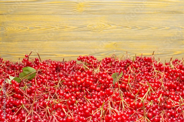 Obraz Много красных ягод калины на деревянном фоне.