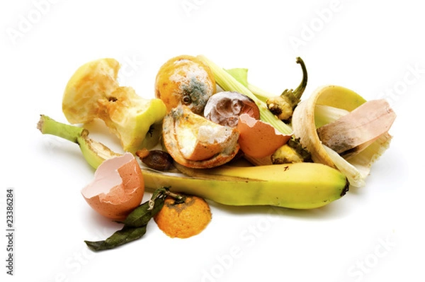 Obraz Food waste
