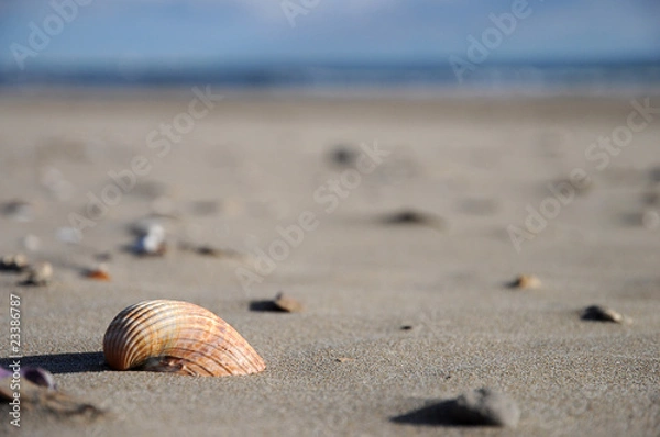 Obraz Französischer-Strand-05