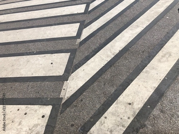 Obraz zebra crossing