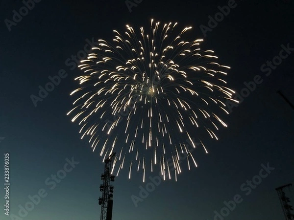 Obraz Fireworks blast