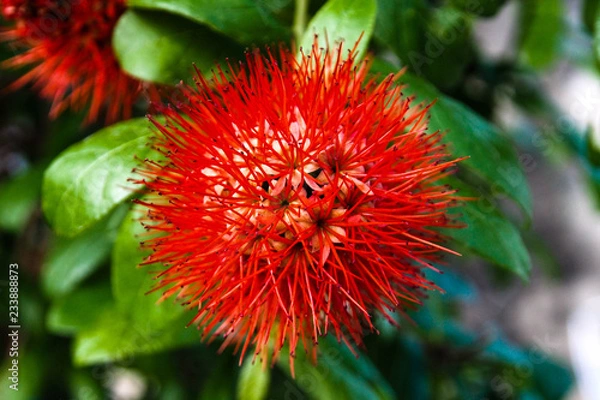 Obraz OLYMPUS DIGITAL CAMERA