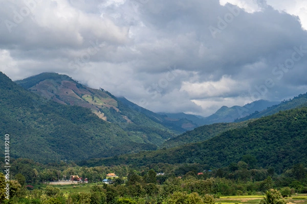 Obraz Mountain Forest on a cloudy day