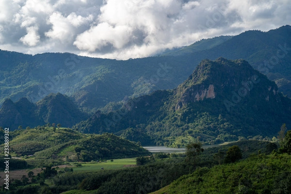 Obraz Mountain Forest on a cloudy day