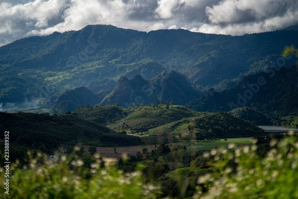 Obraz Mountain Forest on a cloudy day