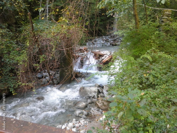 Fototapeta OLYMPUS DIGITAL CAMERA