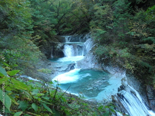 Fototapeta OLYMPUS DIGITAL CAMERA