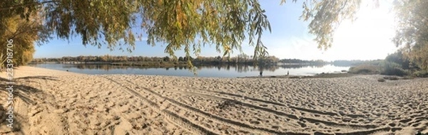 Obraz tree INB DESNA