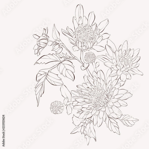 Fototapeta Vector dahlia flower. Autumn flowers bouquet.  Element for design. Sketch hand-drawn contour lines and strokes.