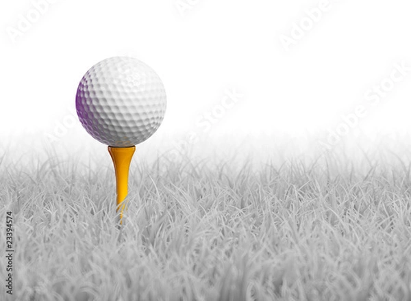 Obraz Golf Ball on Tee in White Grass