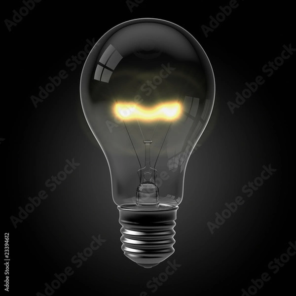 Obraz Light Bulb on Black