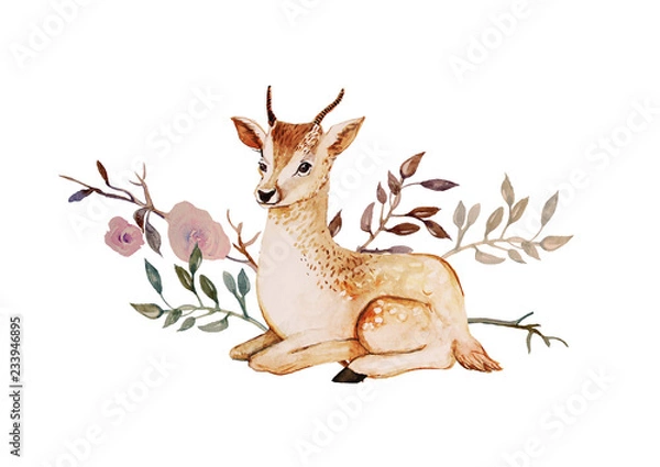 Fototapeta cute summer deer