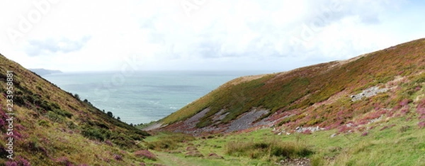 Fototapeta View from Selworthy Beacon, England UK near Exmoor and west of Minehead on the south west coast path with purple heather