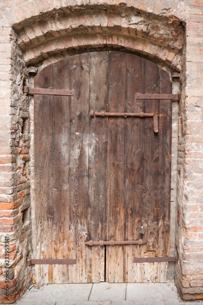 Obraz Castle door
