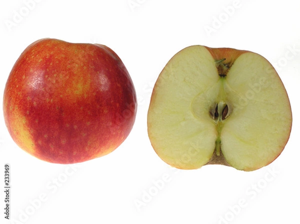 Obraz cut apple