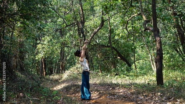 Obraz étirements en forêt