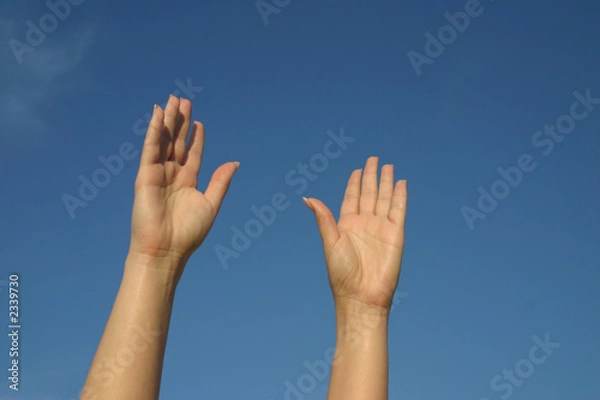 Fototapeta trying to reach the sky