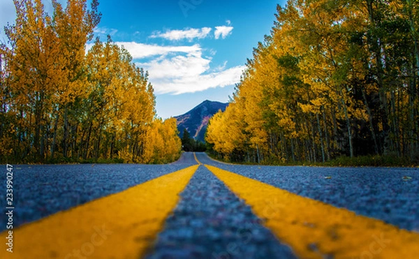 Obraz Up Close Paved Mountain Road Through Autumn Leaves with Mountains In Distance