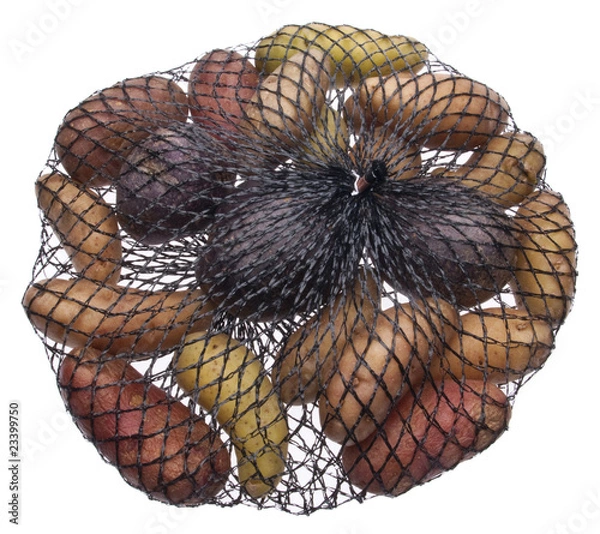 Obraz Fingerling Artisan Potatoes