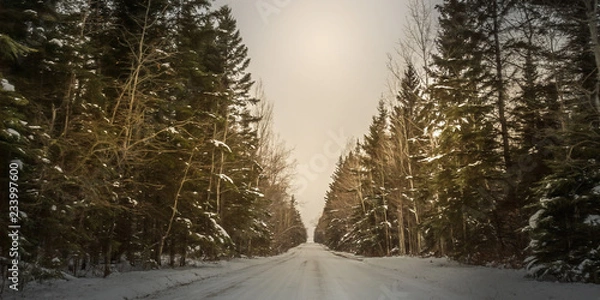 Obraz The Road Less Travelled