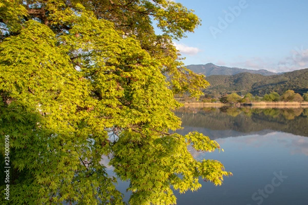 Obraz 京都ぶらり、春の日の広沢の池