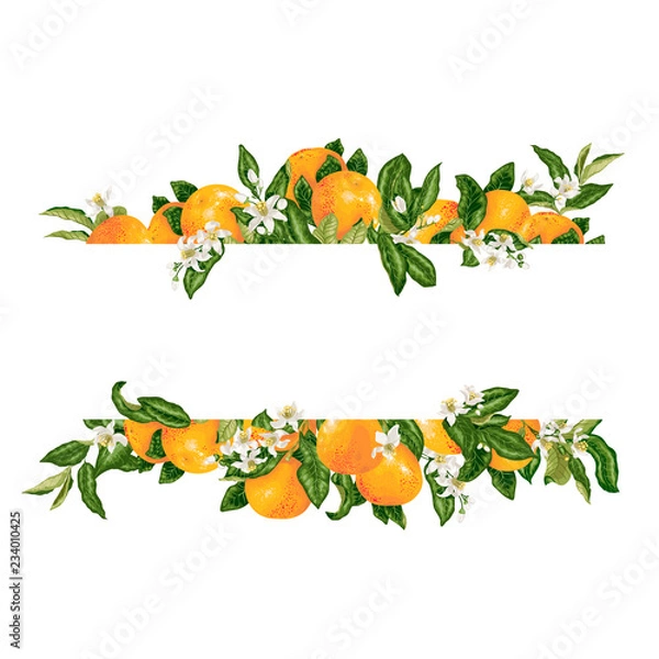 Obraz Template frame decprative vector element with citrus flowers and fruits