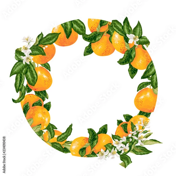 Obraz Template decorative vector element with citrus fruits in circle