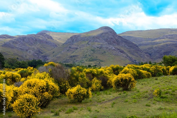 Obraz landscape with mountains