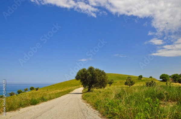 Obraz Mare dalla collina 9