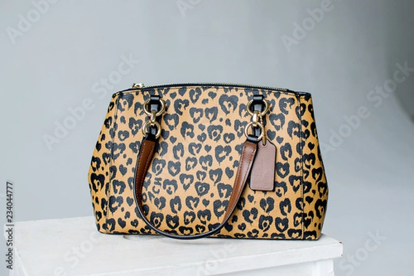 Obraz leopard print bag, womens bag, womens leather backpacks, leather handbag on white background (horizontlly)