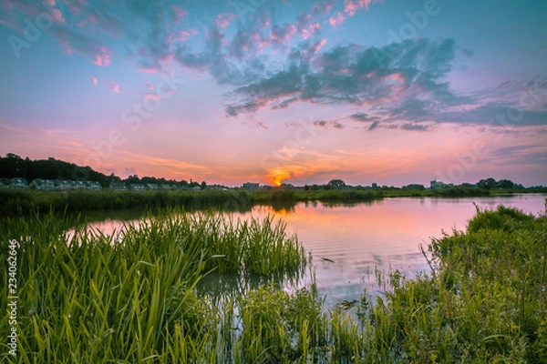 Obraz River forelands rhine