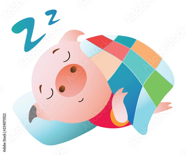 Fototapeta The pig hides behind the wall and peeps.  Vector illustration. Symbol of the new year 2019 Isolated on transparent background. Excellent for the design of postcards, posters, stickers etc.  