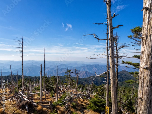 Obraz OLYMPUS DIGITAL CAMERA