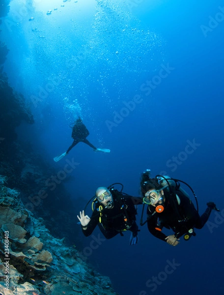 Fototapeta scuba divers