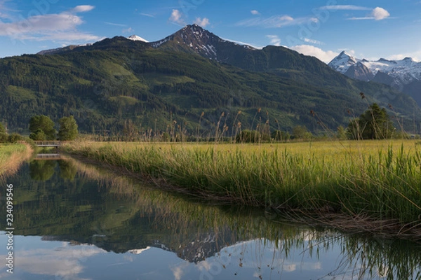 Obraz Spiegelung im Moos
