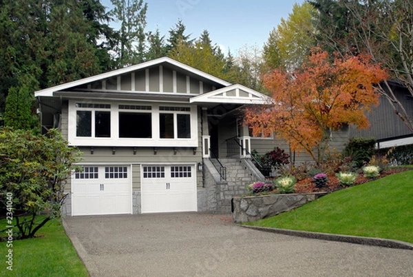 Obraz suburban house