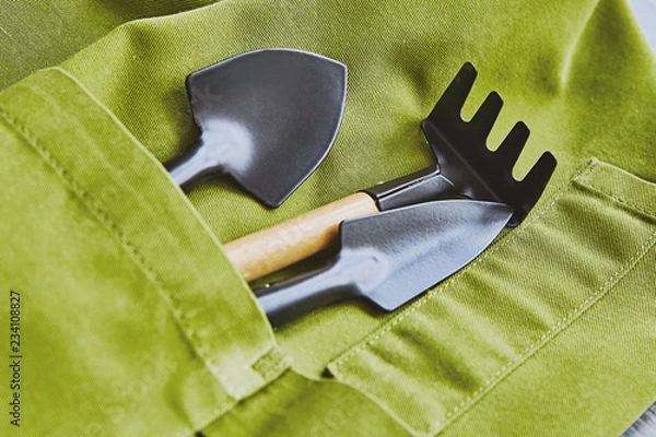 Fototapeta gardening tools spade, fork and rake pinafore in apron pocket hobby and garden manteinance concept