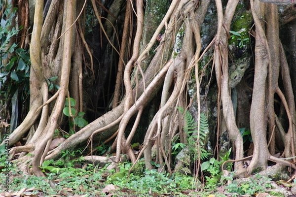 Fototapeta Impressionen Bali