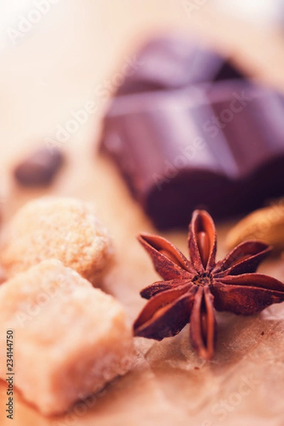 Obraz Macro shot of badian with chocolate, brown sugar and coffee beans.