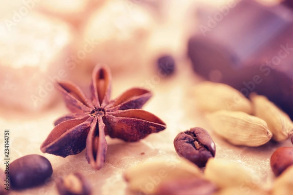 Obraz Macro shot of badian with chocolate, brown sugar and coffee beans.